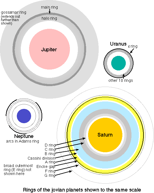 rings
